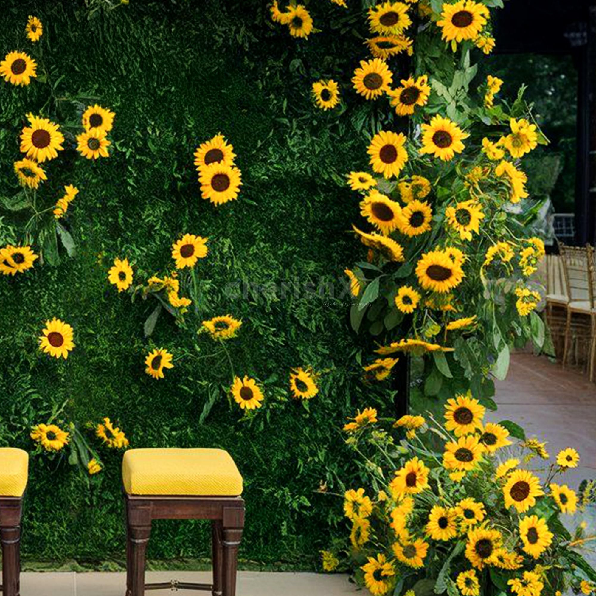 Sun-kissed setting ideal for haldi & mehendi rituals.