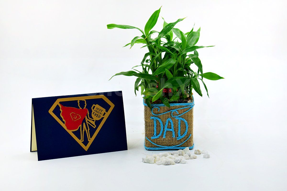 2 Layer Bamboo Plant For Dad