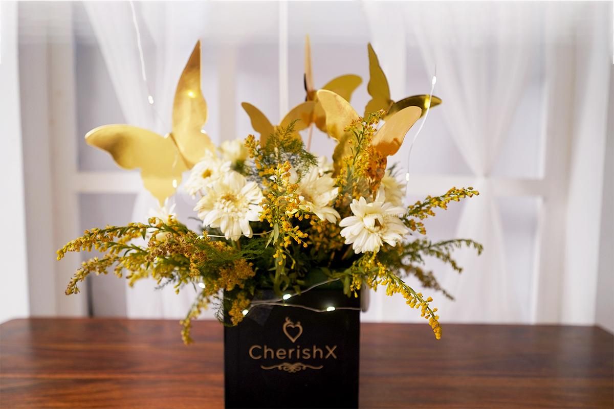 The Bubble bucket is filled with 10 fresh Gerbera's Flowers.