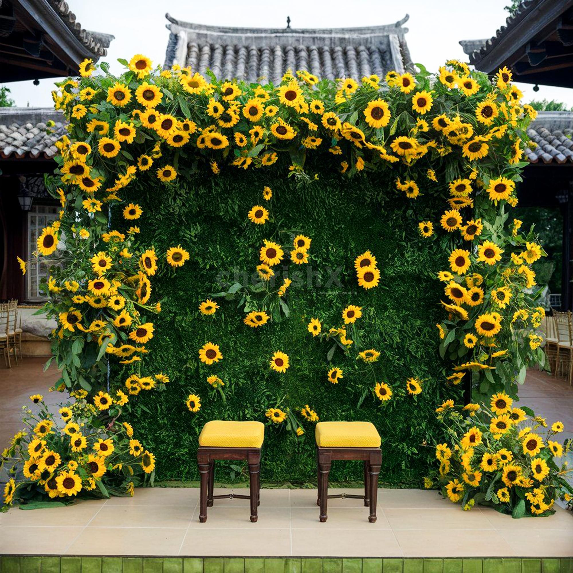 A wall of blooming sunflowers and verdant green leaves.