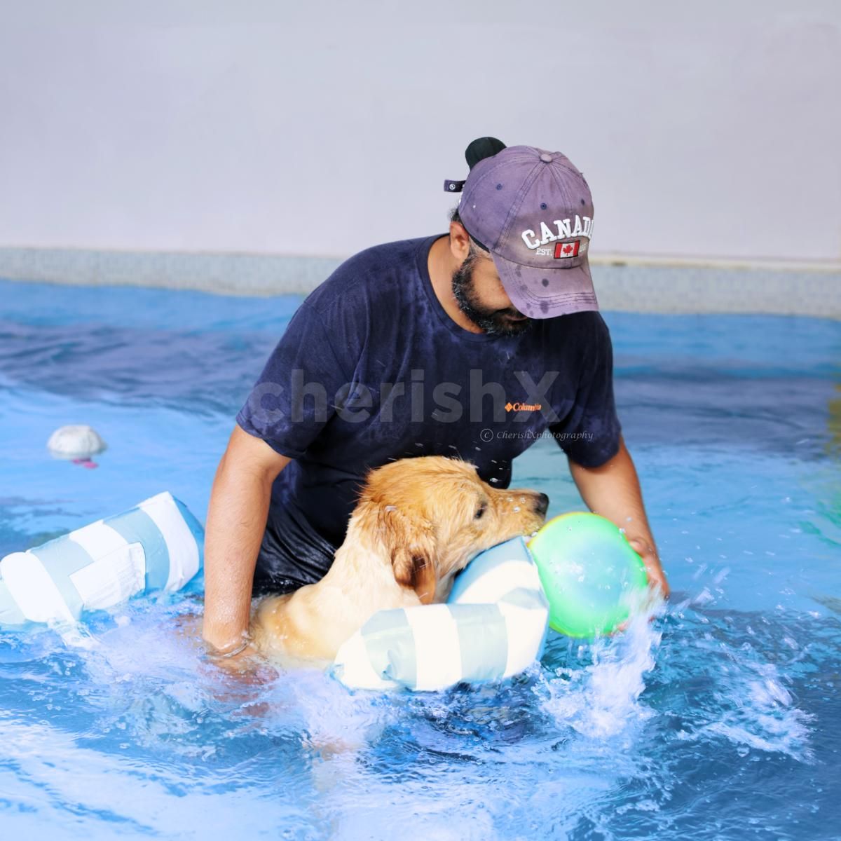 pool day with dog, pet pool in delhi ncr