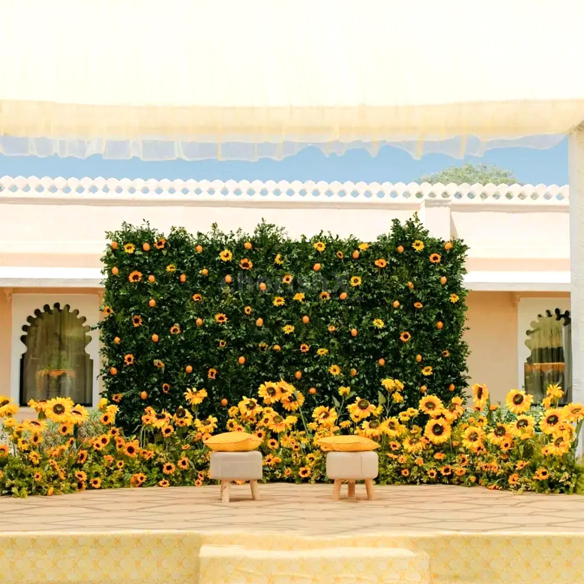 Sunflower-studded grass background bringing garden life to the fore.