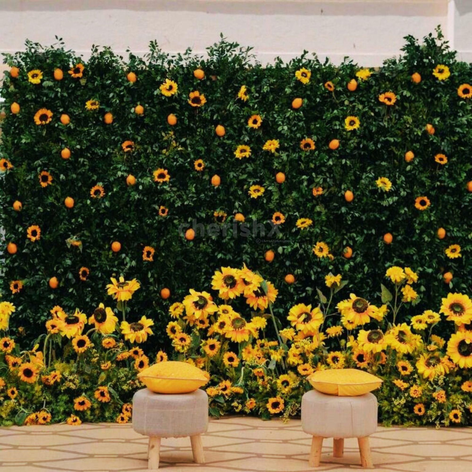 Twin seating arrangement resting in a bed of golden flowers.