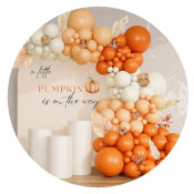 Amazing Pumpkin Theme Decorations for Baby Shower